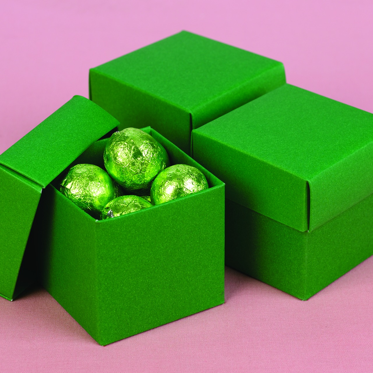 Grass 2 piece Favor Boxes