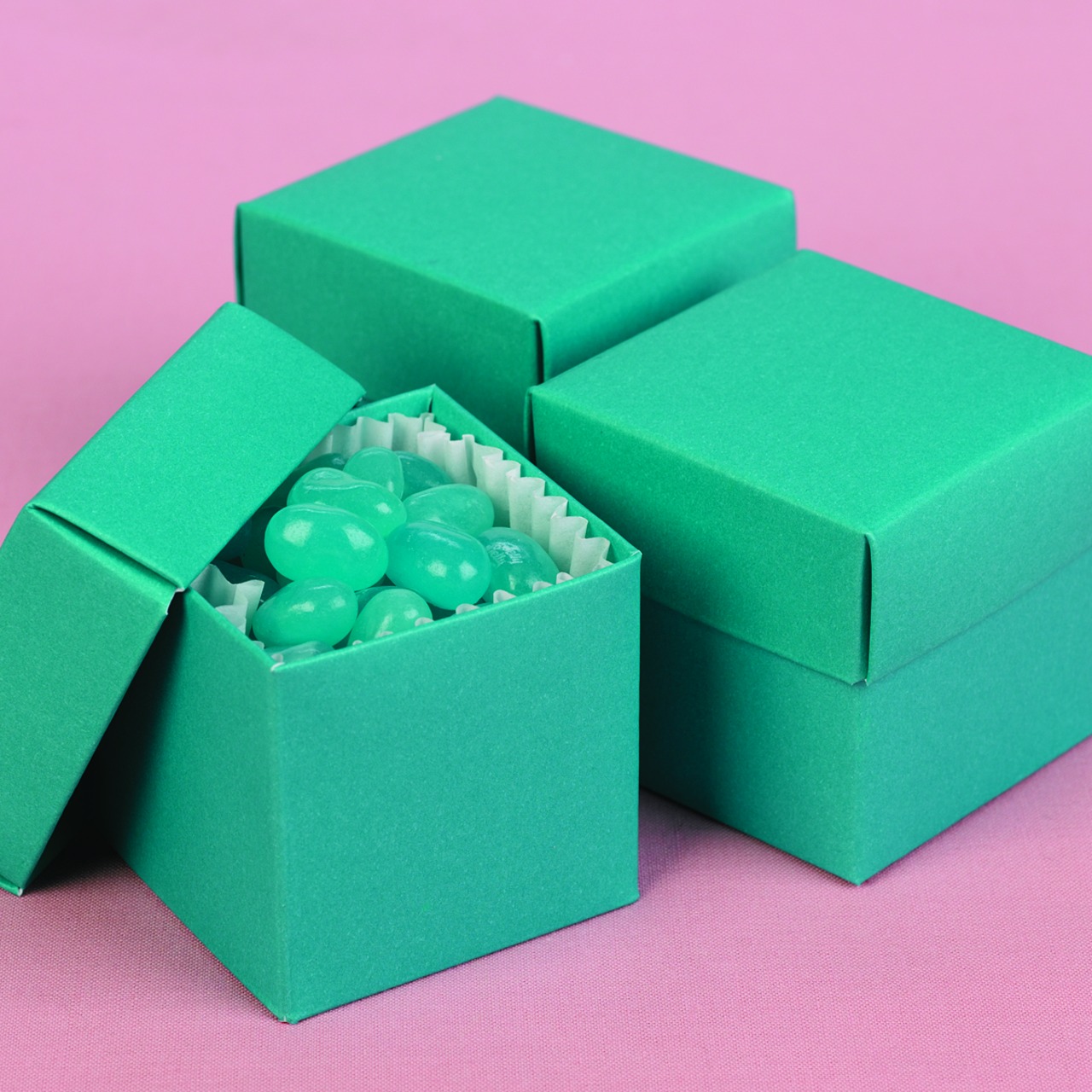 Palm 2 piece Favor Boxes
