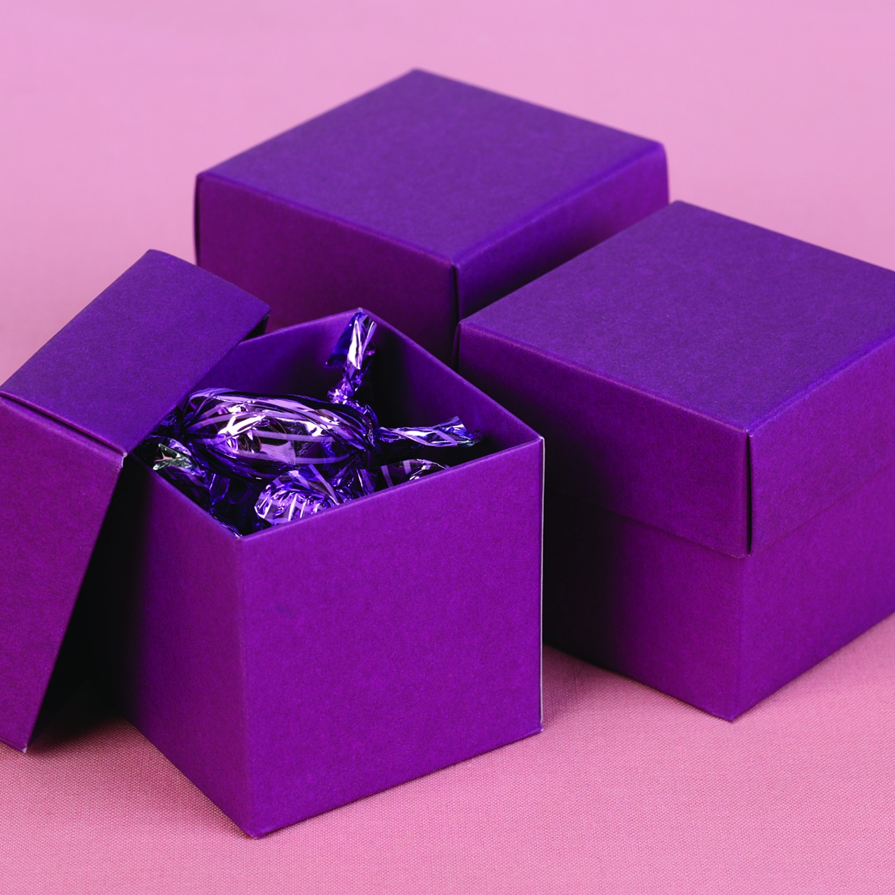 Grapevine 2 piece Favor Boxes