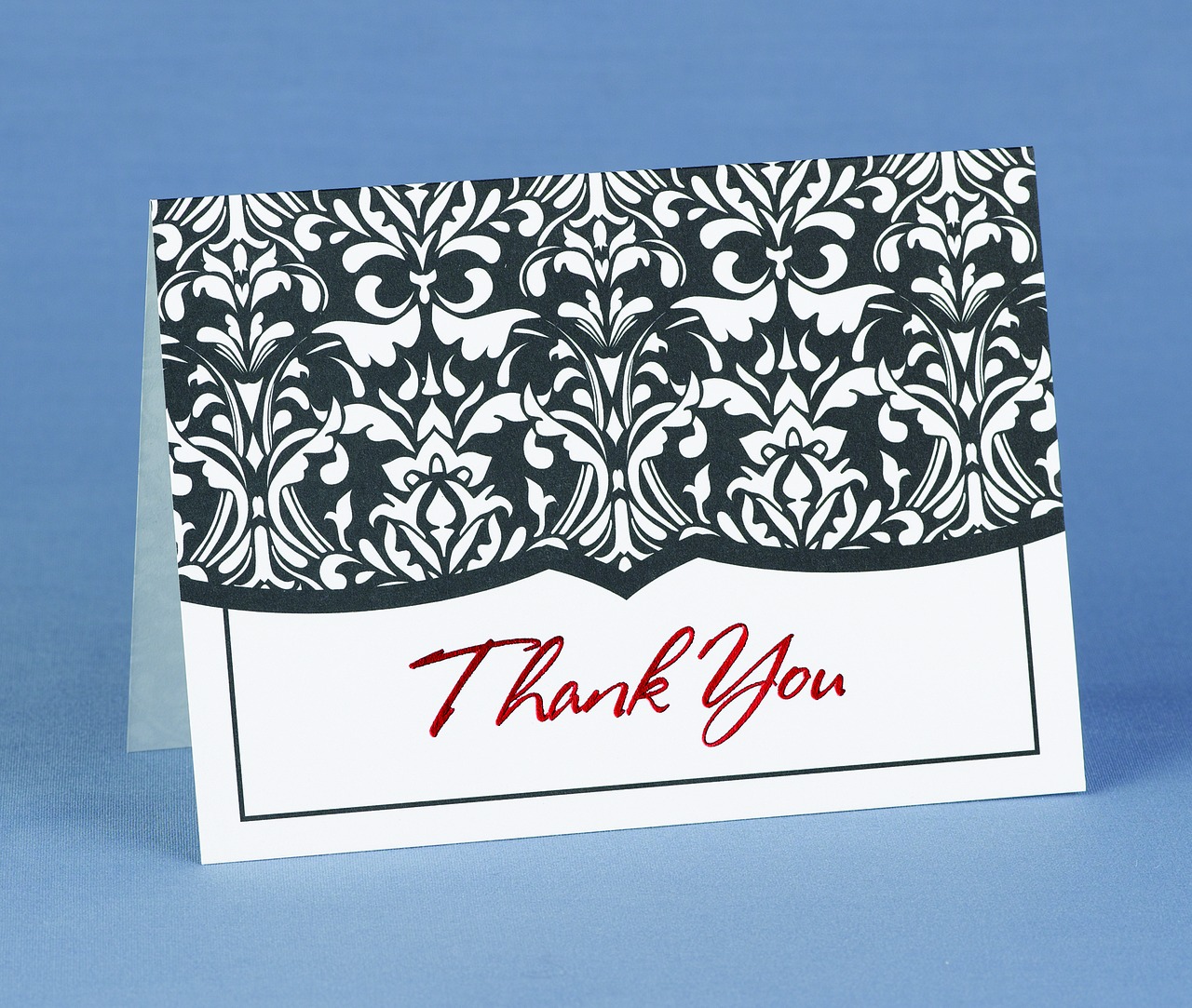 Damask Thank You Cards