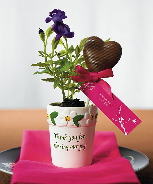 Mini Flower Pots