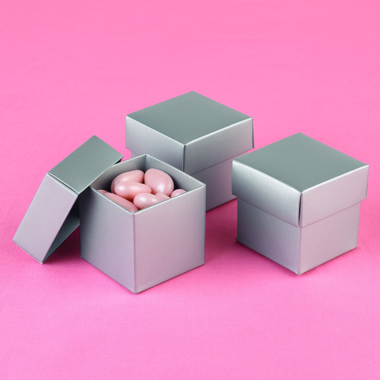 Silver Shimmer 2 piece Favor Boxes