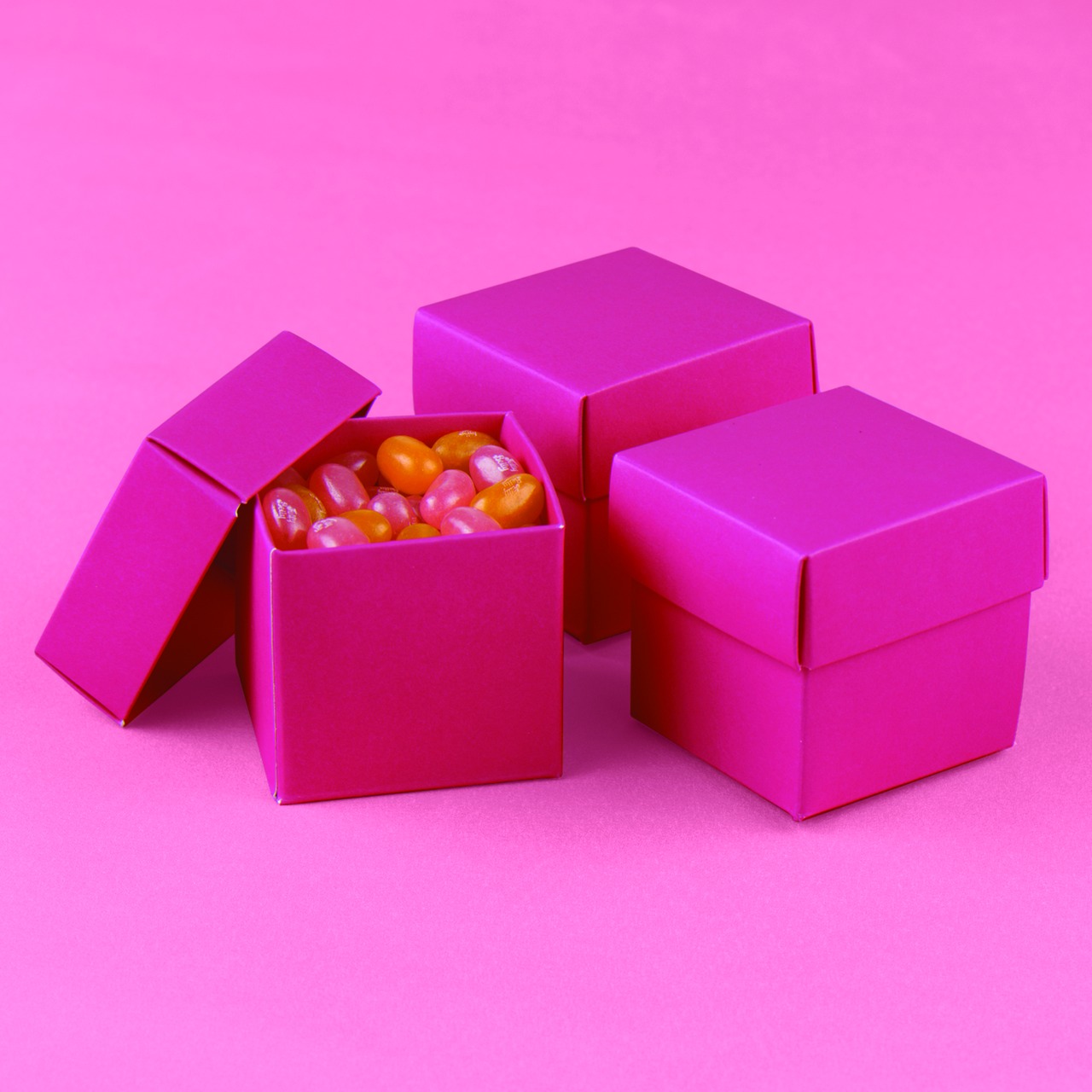 Fuchsia 2 piece Favor Boxes