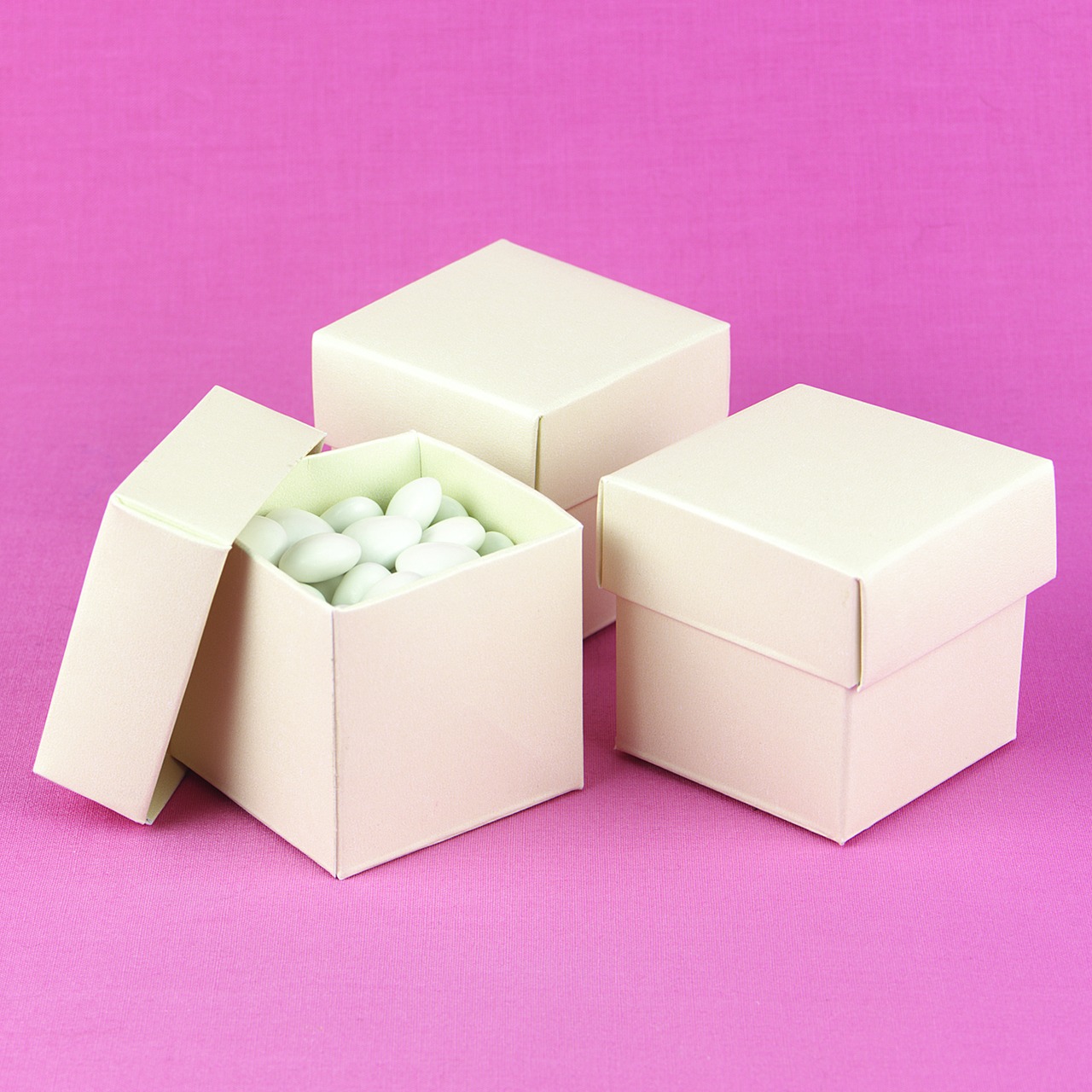 Ivory Shimmer 2 piece Favor Boxes