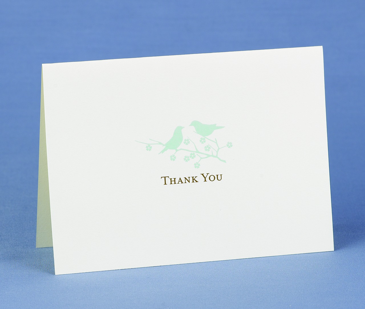 Harmony Thank You Cards