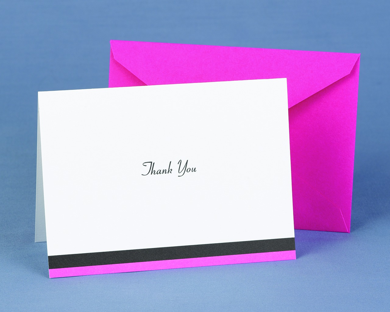 Fuchsia Trimmed Thank You Cards