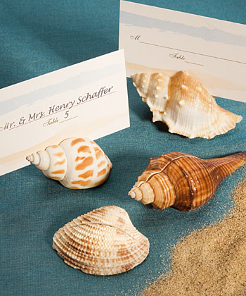 <i>Natural Selections Collection</i> shell design place card holders