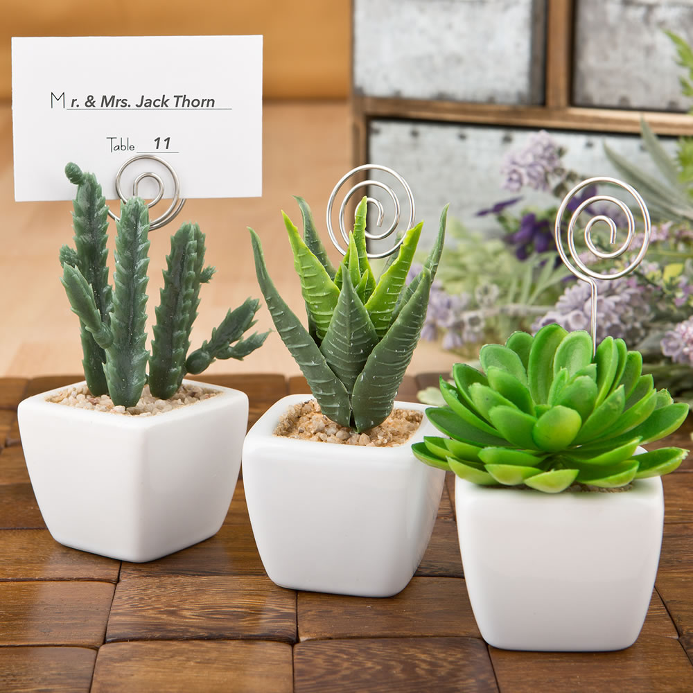 Potted succulent favor / placecard holder / photo holder