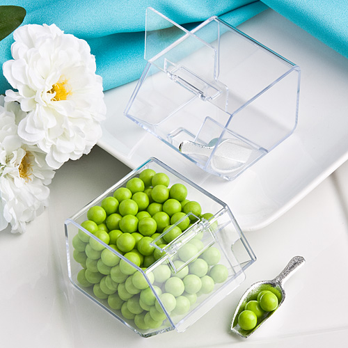 Perfectly Plain Collection candy bin & scoop favors