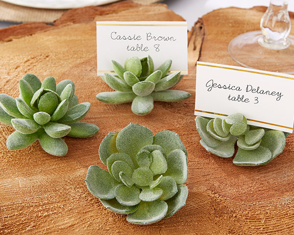 Succulent Place Card Holder (Set of 4)