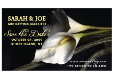 Cala Lilly Design Save The Date Magnets