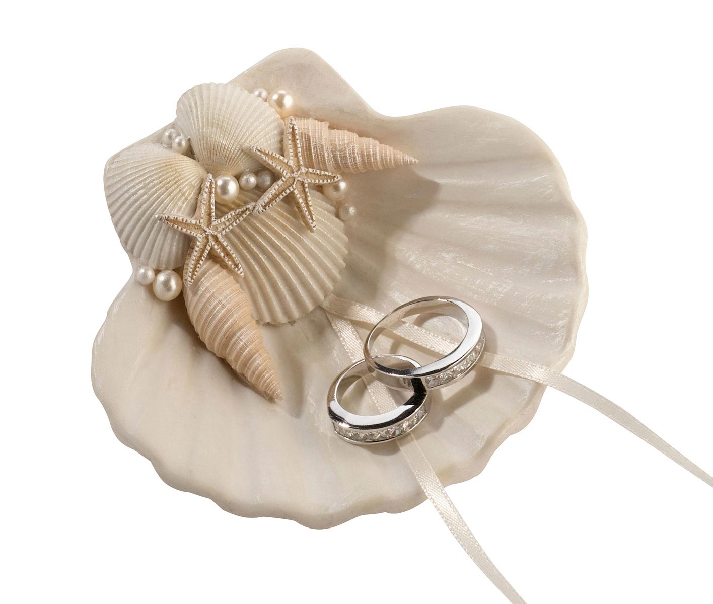 Coastal Seashell Ring Holder