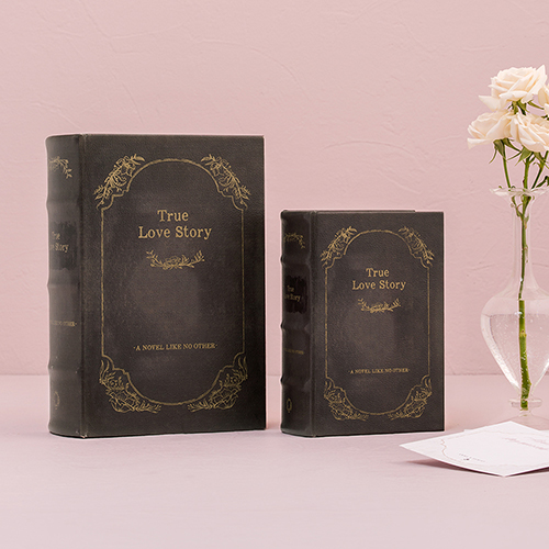 Romantic Vintage Book Box Set