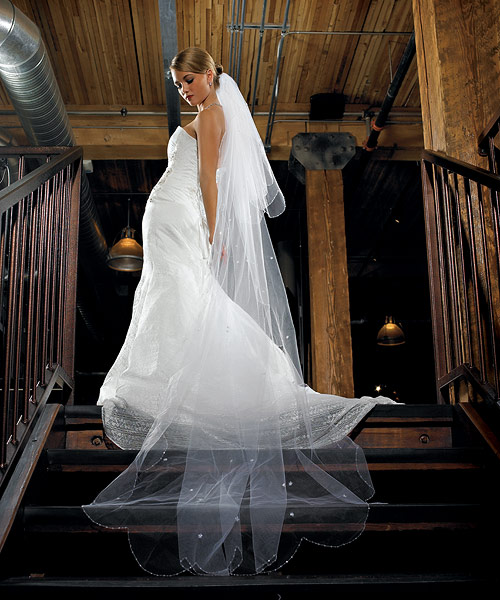 Wedding Veils
