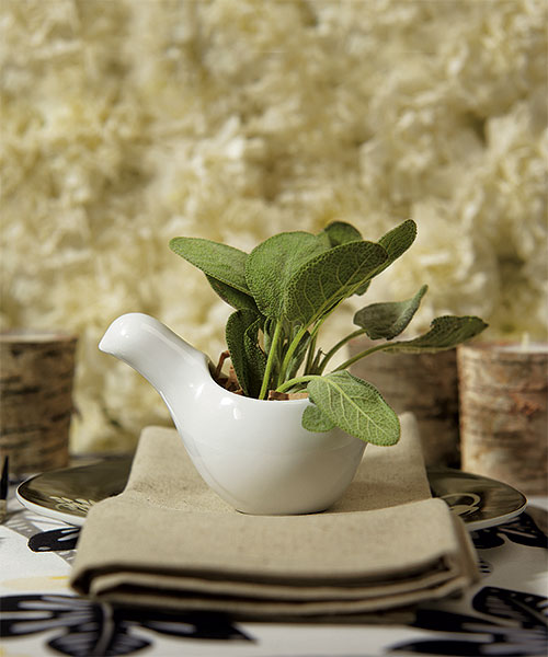 "Birds of a Feather" Miniature Ceramic Container/Holder